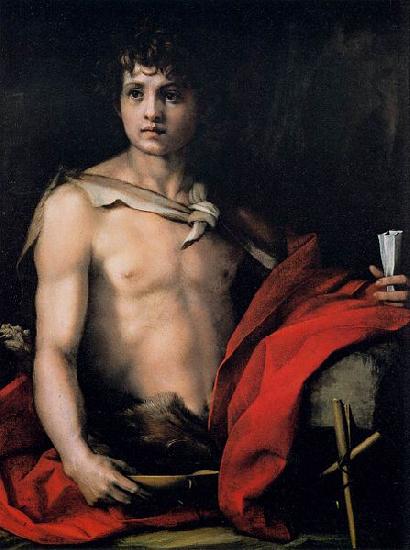 Andrea del Sarto St John the Baptist France oil painting art